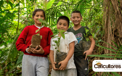 La reforestación de los bosques en manos de los niños